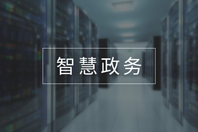政府单位智慧政务运维解决方案