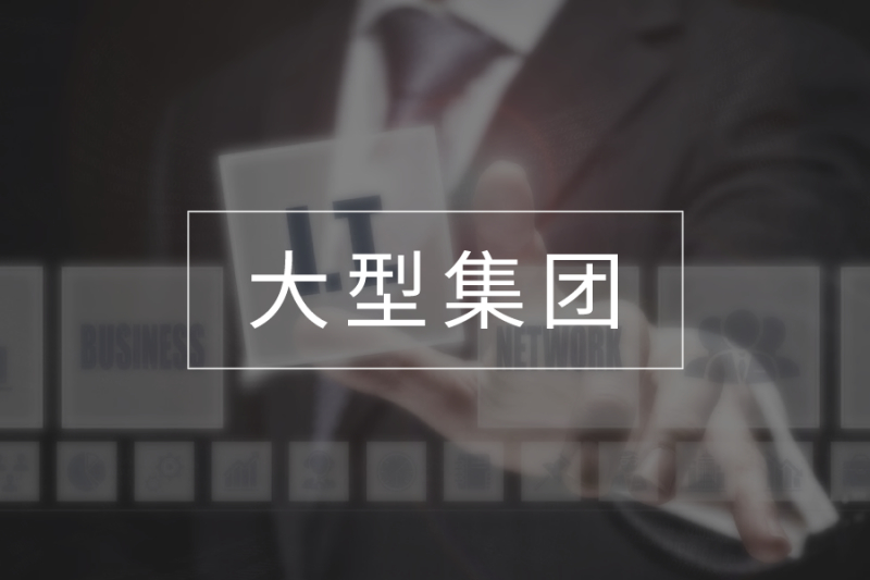 大型集团企业一体化运维监控方案