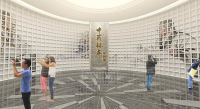 中国中药标本展馆设计：传承与展示的完美融合