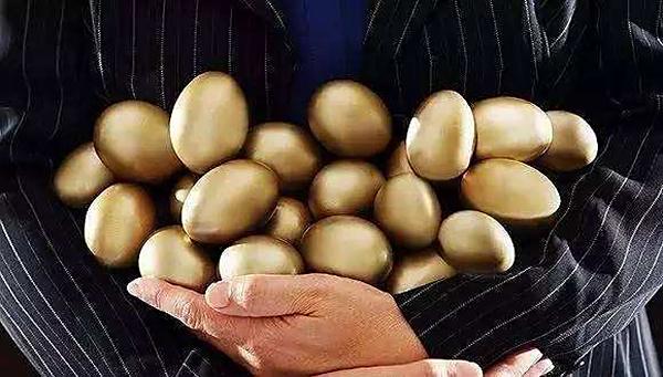 如果你有一百万可投资金，你会投资私募基金吗？