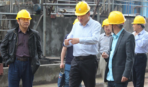 浙江省林业局副局长陆献峰一行莅临我司视察指导工作