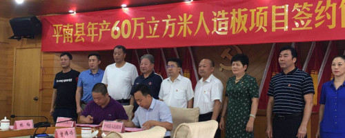 热烈祝贺丽人木业、丽水航星在广西平南共同投资 年产60万m3人造板项目签约仪式圆满成功