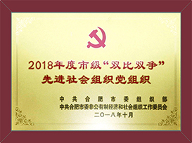 2018-年度市级双比双争先进社会组织党组织