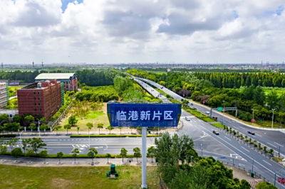 一图看懂助力临港新片区发展的10项征管服务举措