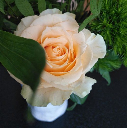 網(wǎng)站的“顏值”重要嗎？