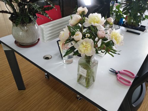 唐山網(wǎng)站建設電話(huà)是多少？