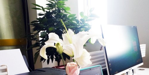 唐山網(wǎng)站制作價格_唐山靠譜的網(wǎng)絡(luò)公司