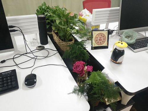 唐山seo招聘，唐山網(wǎng)站優(yōu)化公司需要你這樣的人才！