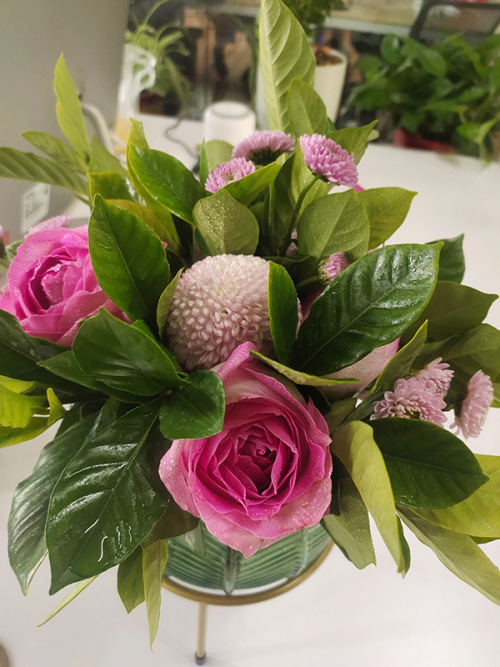 網(wǎng)絡(luò)公司都做什么？