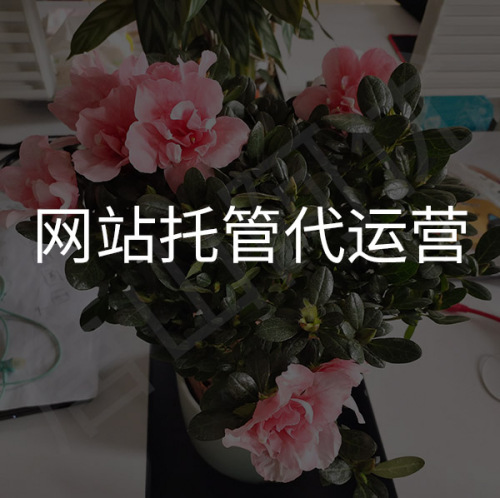 唐山網(wǎng)站托管代運(yùn)營(yíng)_網(wǎng)站托管服務(wù)內(nèi)容_唐山阿優(yōu)科技！