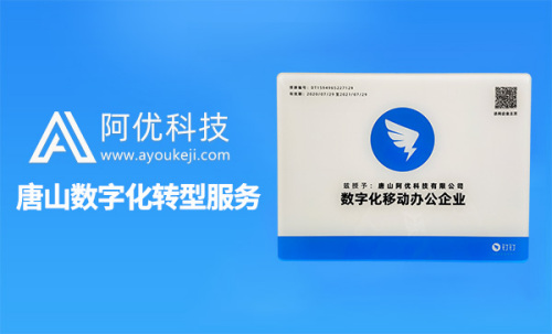 唐山數字化轉型服務(wù)公司_唐山阿優(yōu)科技有限公司