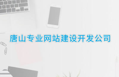 唐山专业网站建设开发公司