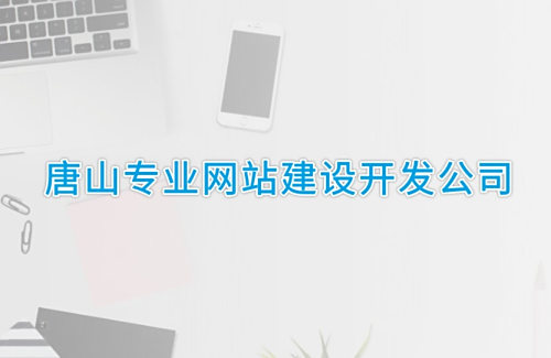 唐山專(zhuān)業(yè)網(wǎng)站建設開(kāi)發(fā)公司
