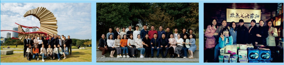 gmp设计公司展示