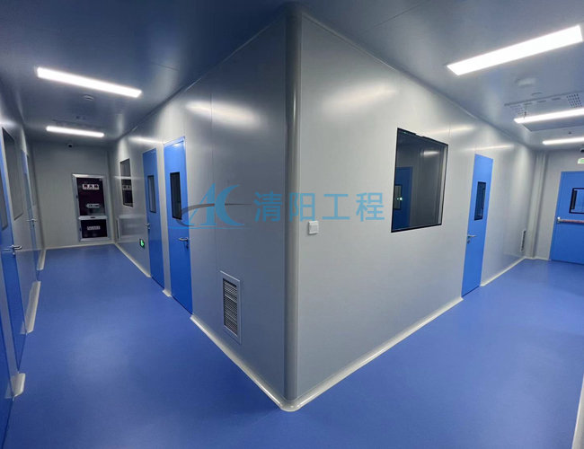 鎮(zhèn)江某勝源萬(wàn)級(jí)化妝品GMP無(wú)塵車(chē)間凈化工程