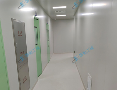 浙江台州十万级食品添加剂净化工程