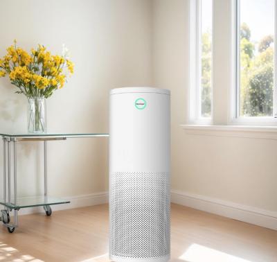 养猫家庭的空气救星？我用过这台净化器后，再也回不去了