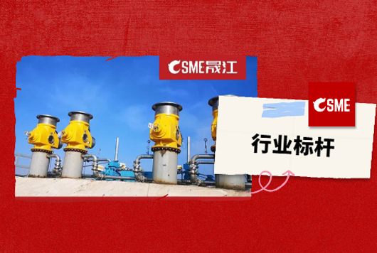 20年制造经验，行业安全标杆——晟江HXDP平衡式虹吸破坏阀