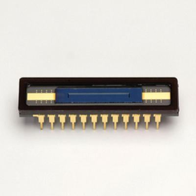 HAMAMATSU滨松   S16010-1006   CCD 面阵图像传感器