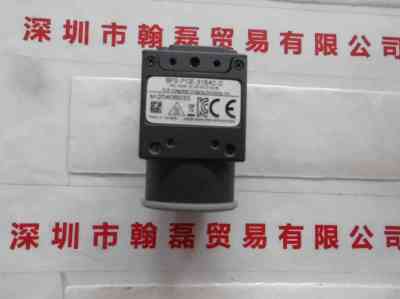 FLIR菲力尔  BFS-PGE-31S4C-c  灰点相机