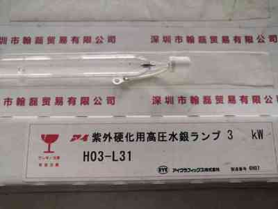 EYE岩崎  H03-L31  水银灯