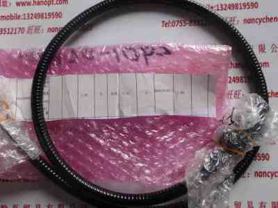 HAYASHI林时计  LGB1-5L1000  光纤