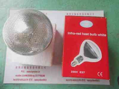 230V250W E27   国产灯泡