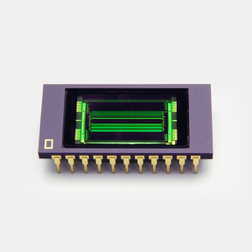 HAMAMATSU滨松    G11135-256DD      InGaAs 线阵图像传感器 