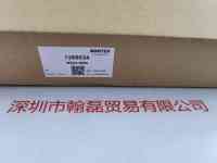 MORITEX茉丽特   MSG4-500R   光导管