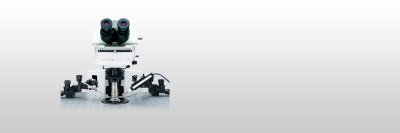 奥林巴斯OLYMPUS      BX51WI            临床显微镜