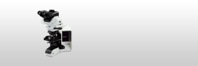 奥林巴斯OLYMPUS        BX53-P          偏光显微镜