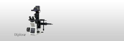 奥林巴斯OLYMPUS          IXplore Standard        显微镜