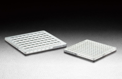 SIGMA 西格玛 FEL-5860R03-42.07PM 复眼透镜