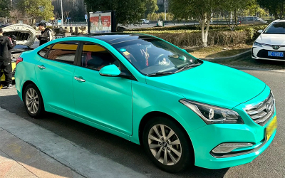 电光湖水绿 - 现代名图