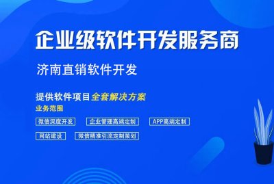 濟(jì)南直銷軟件開發(fā)
