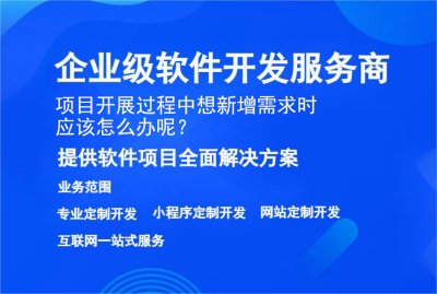 項目開展過程中想新增需求時應該怎么辦呢？