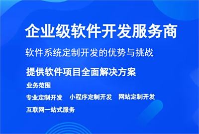 軟件系統(tǒng)定制開發(fā)的優(yōu)勢與挑戰(zhàn)