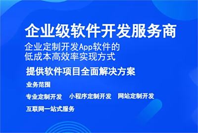 企業定制開發 App軟件的低成本高效率實現方式