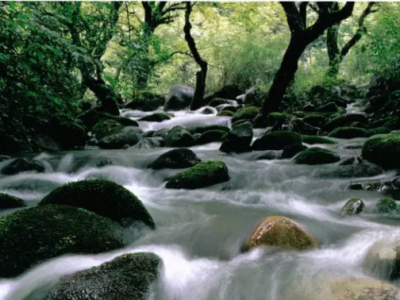 佛顶山（石阡）