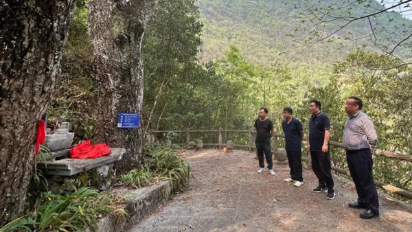 贵州省仡佬学会赴广西隆林各族自治县调研