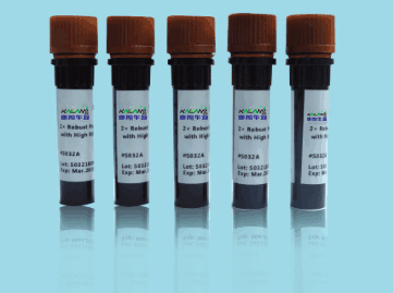 EphB1/2 rabbit Polyclonal Antibody