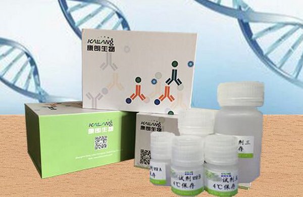 外泌体（Exosomes）提取试剂盒-快速-体液4ml/T