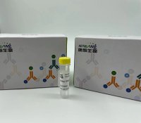 Anti-GNGT1 antibody（50ul） KL20093-001