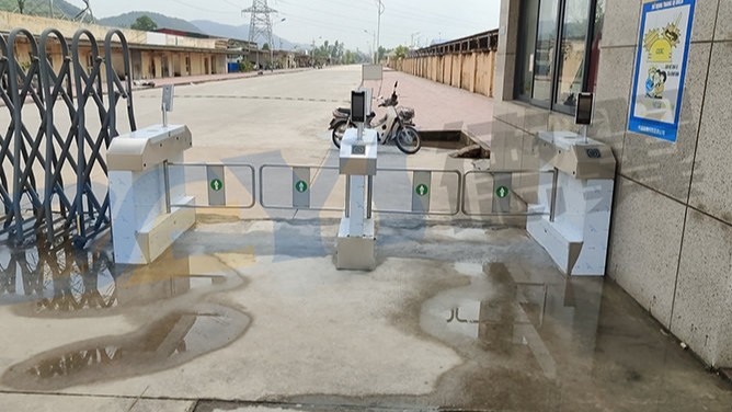 越南大摆闸案例