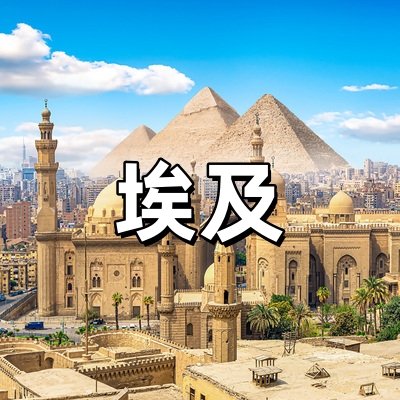 埃及签证-全国受...