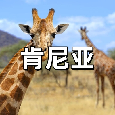 肯尼亚签证