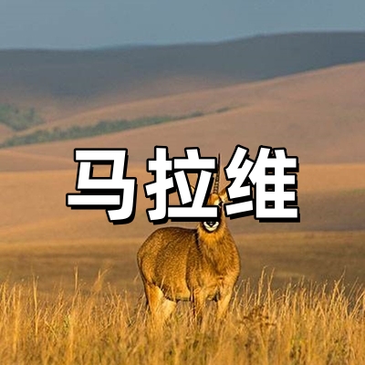 马拉维签证