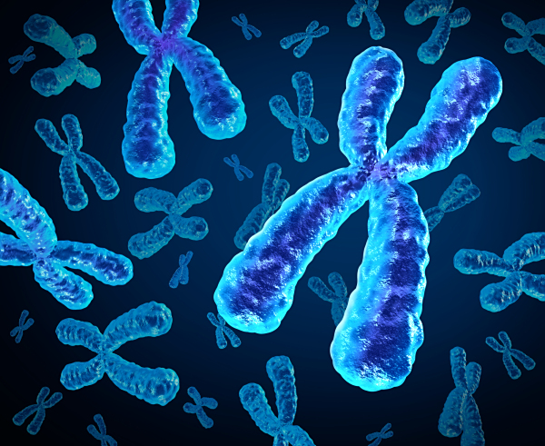 胚胎染色体筛查