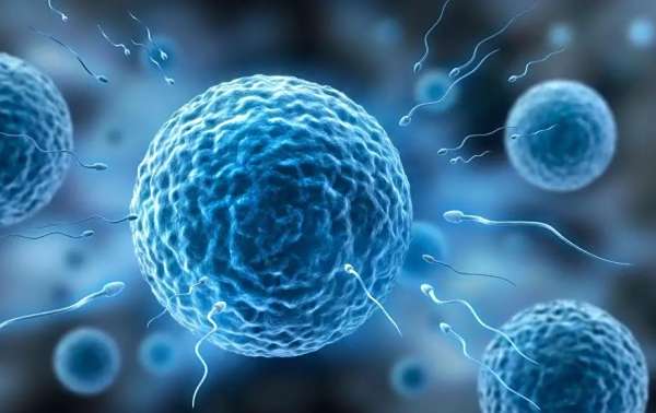 试管婴儿技术成功率概述