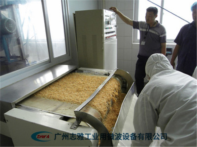 面包糠干燥杀菌设备